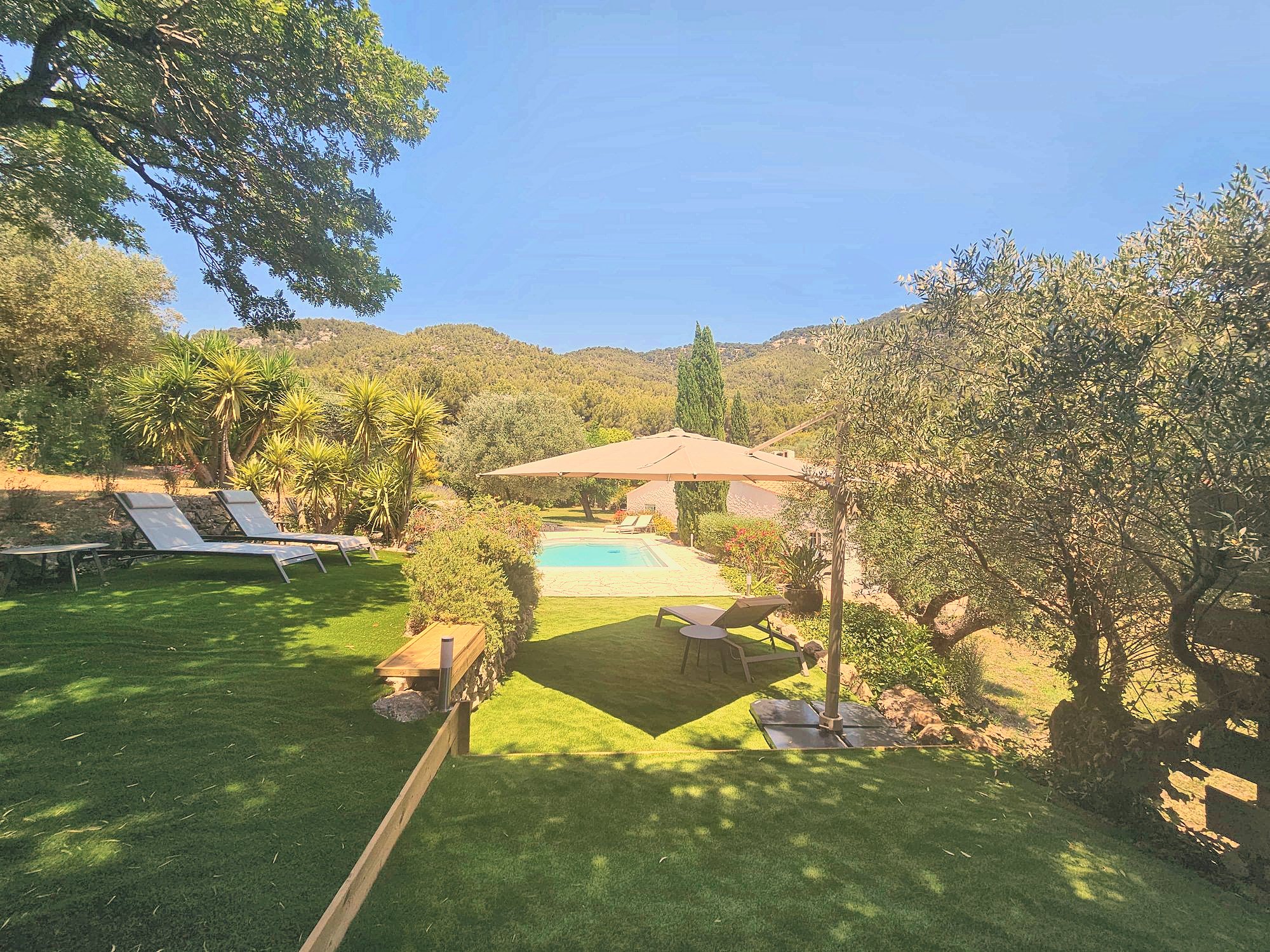 Le jardin, les transats et la piscine